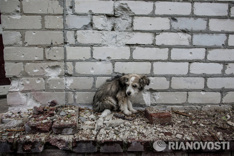 Фото: Андрей Стенин