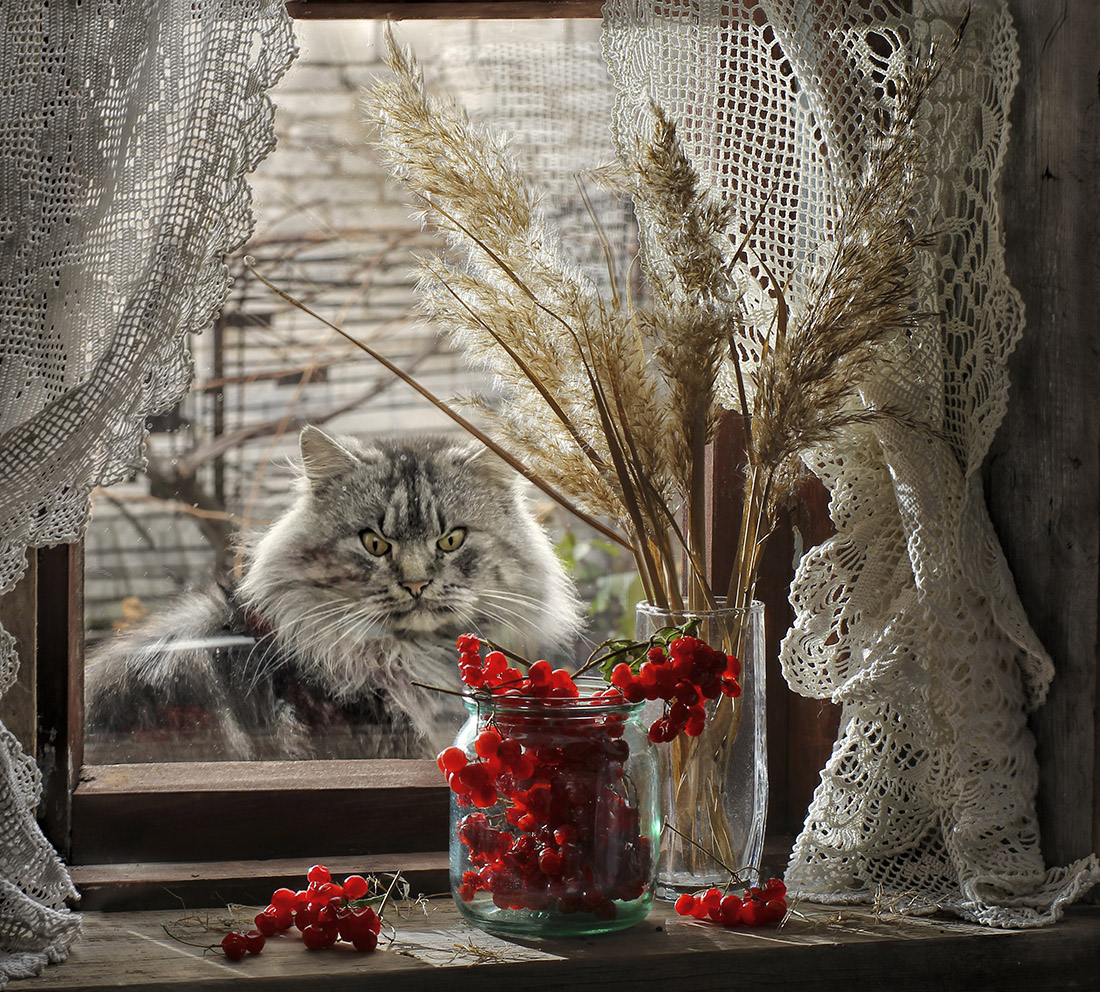 Фото: Светлана Павловская