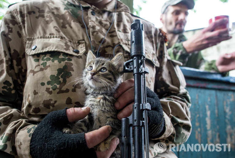 Фото: Андрей Стенин