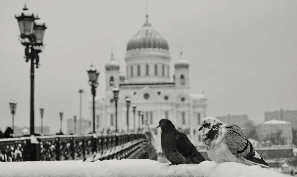 Храм Христа Спасителя. Фото: Ekaterina Elizarova