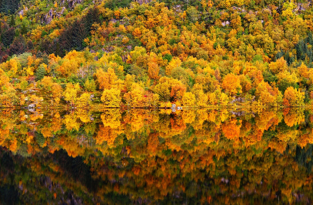Лофотенские острова, Норвегия. Фото: Claudio Corradini