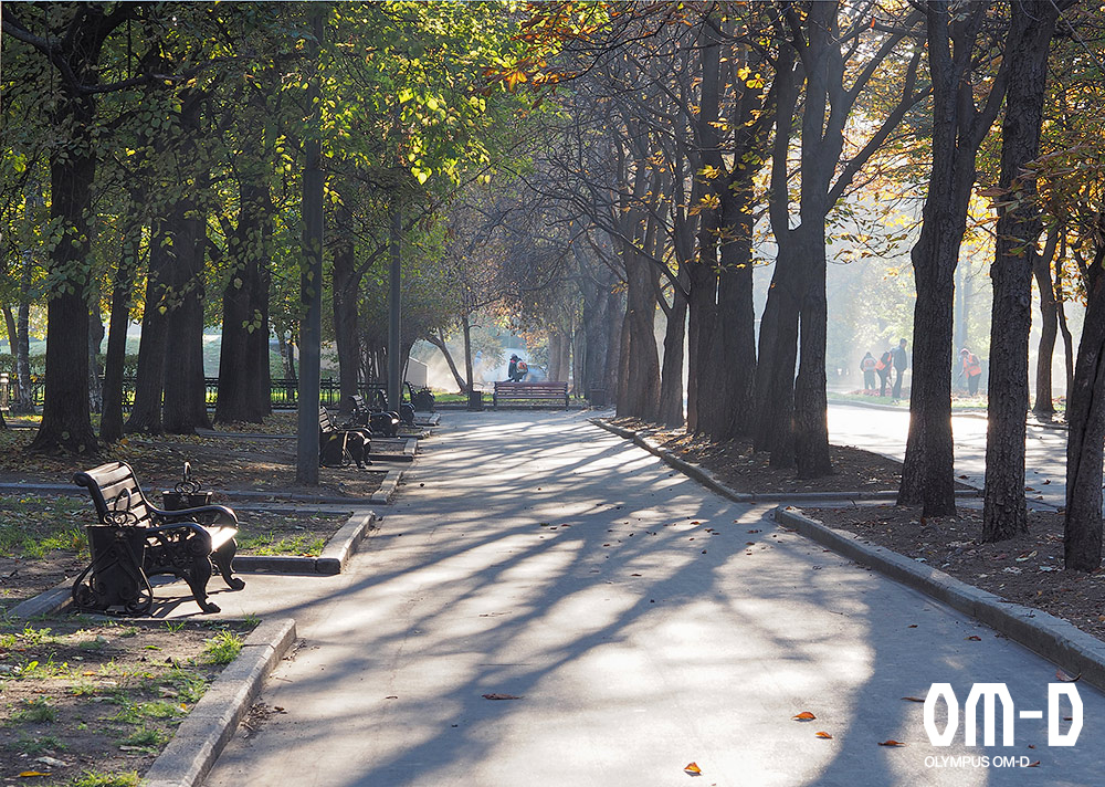 Фото: Ольга Малеева