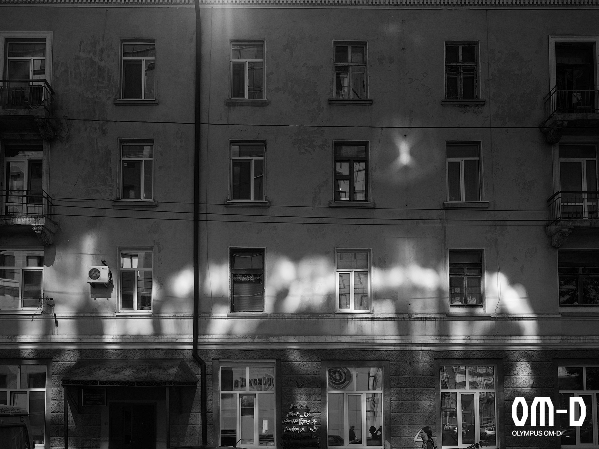 Фото: Дмитрий Изосимов