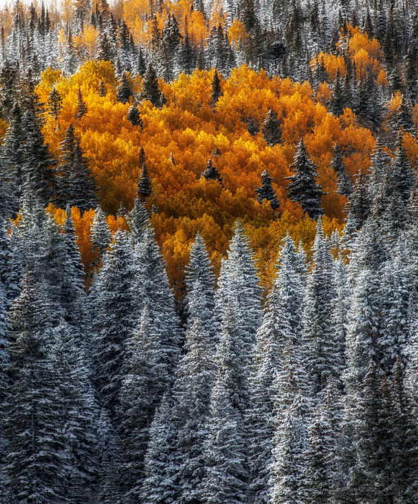 Фото: Jeff Johnson
