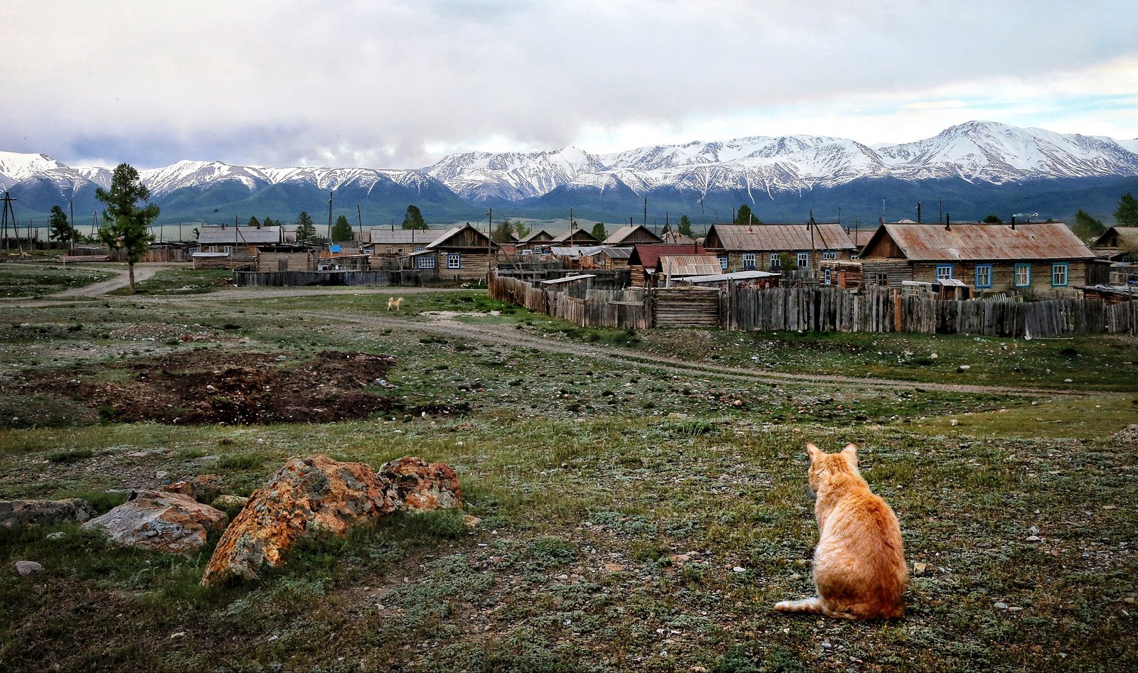 Фото: Роман Мордашев