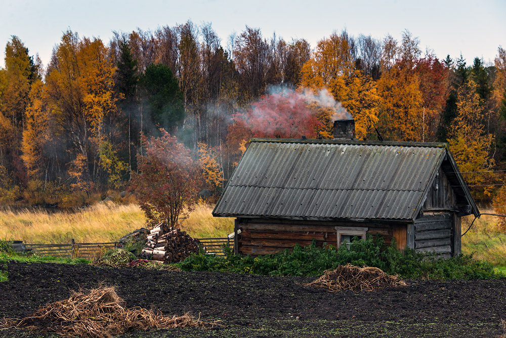 Поморская деревня Поньгома. Карелия. Фото: Иван Дементиевский 