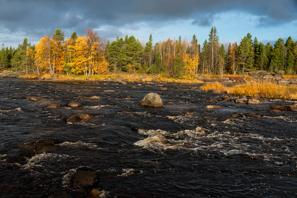 Поморская деревня Поньгома. Карелия. Фото: Иван Дементиевский 