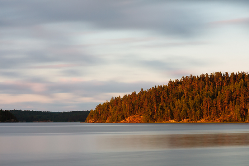 Горящий лес. 