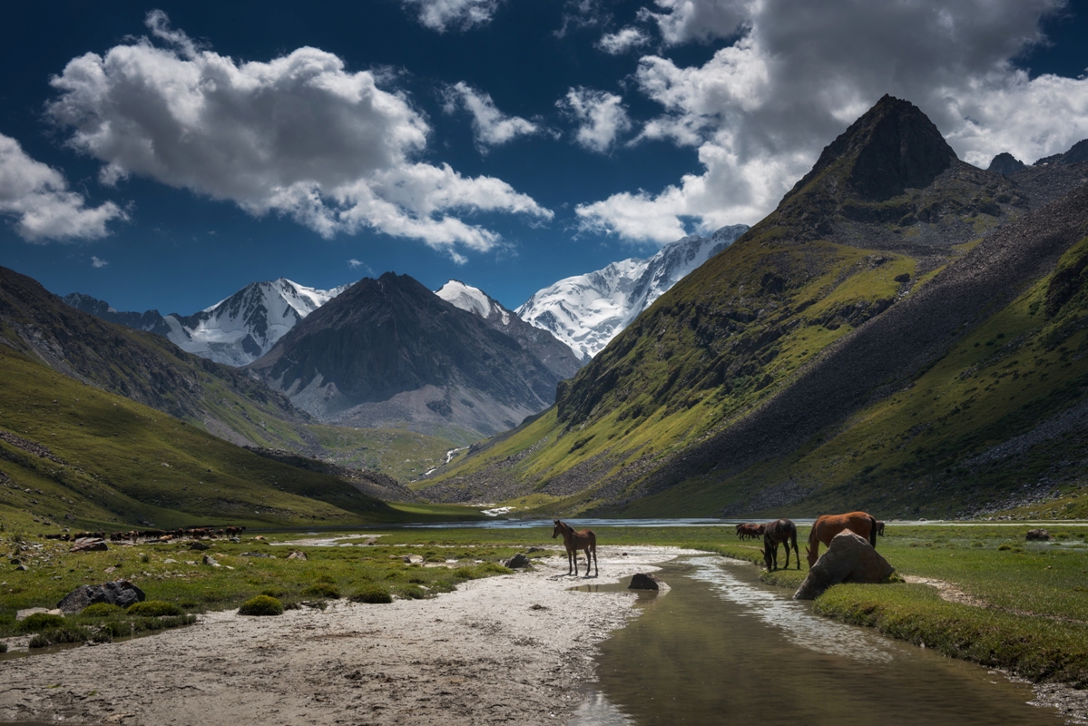Киргизия Луга горы лошади