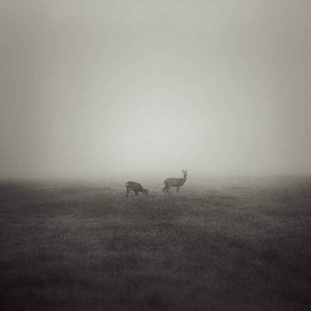 Юрген Хеккель: Монохромное зрение — Российское фото