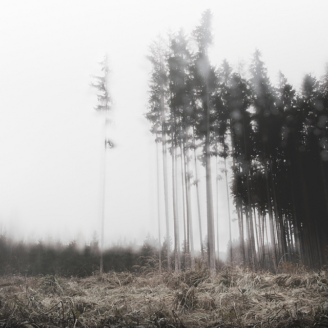 Юрген Хеккель: Монохромное зрение — Российское фото