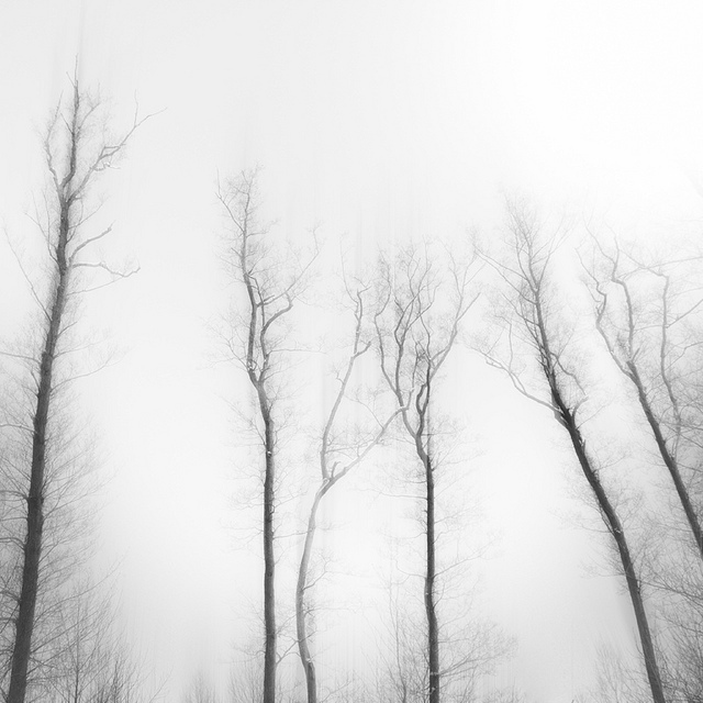 Юрген Хеккель: Монохромное зрение — Российское фото