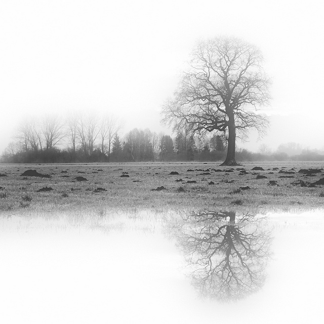 Юрген Хеккель: Монохромное зрение — Российское фото