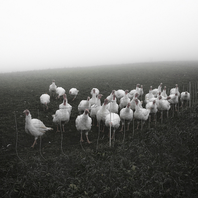 Юрген Хеккель: Монохромное зрение — Российское фото