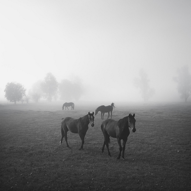 Юрген Хеккель: Монохромное зрение — Российское фото