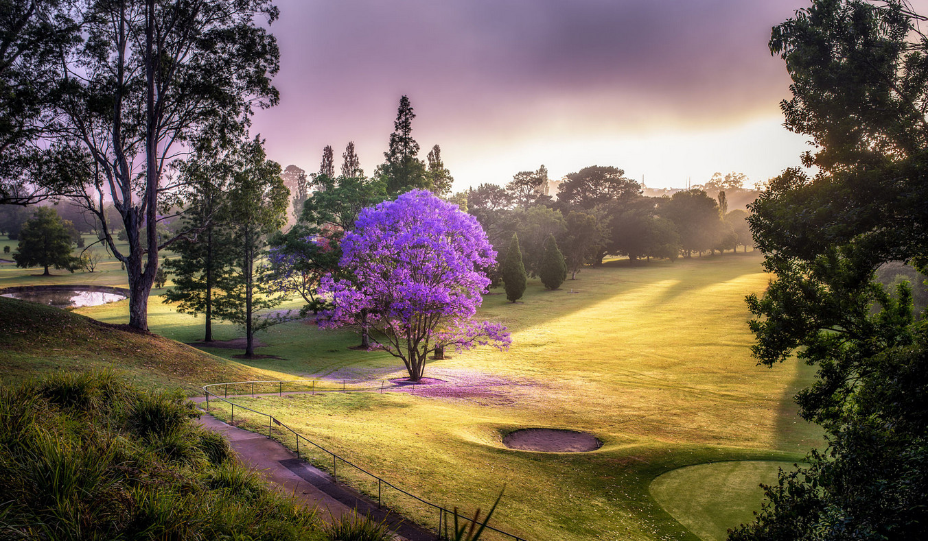 infrared photography Tropical Garden VI infrared... by *MichiLauke on deviantART