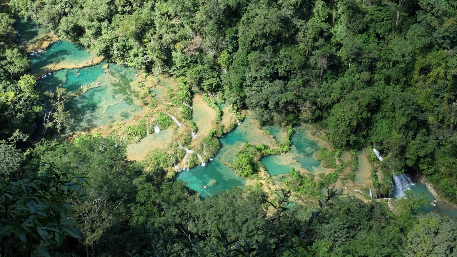 Джунгли гватемалы