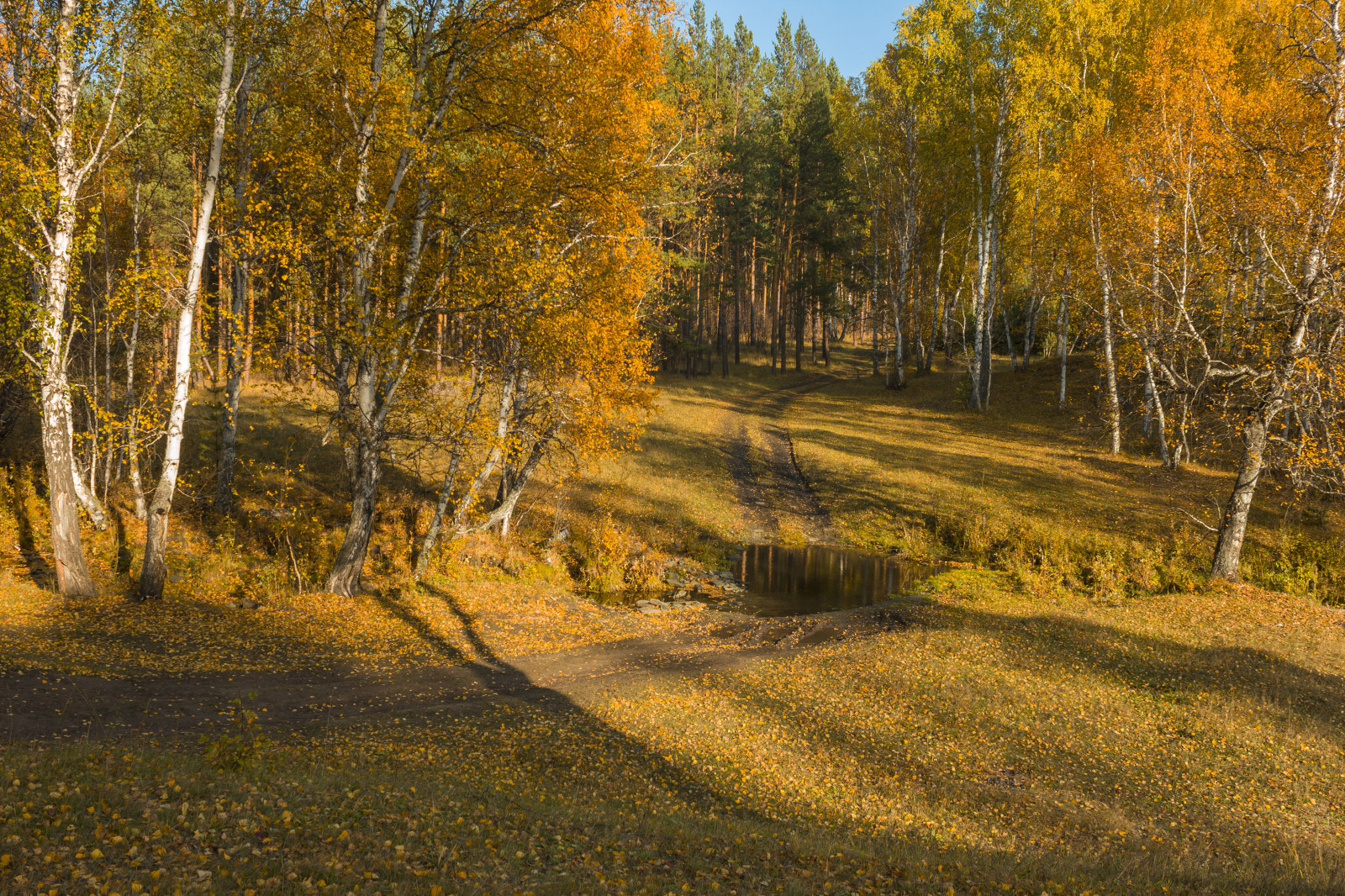 Осенний лес Башкирии