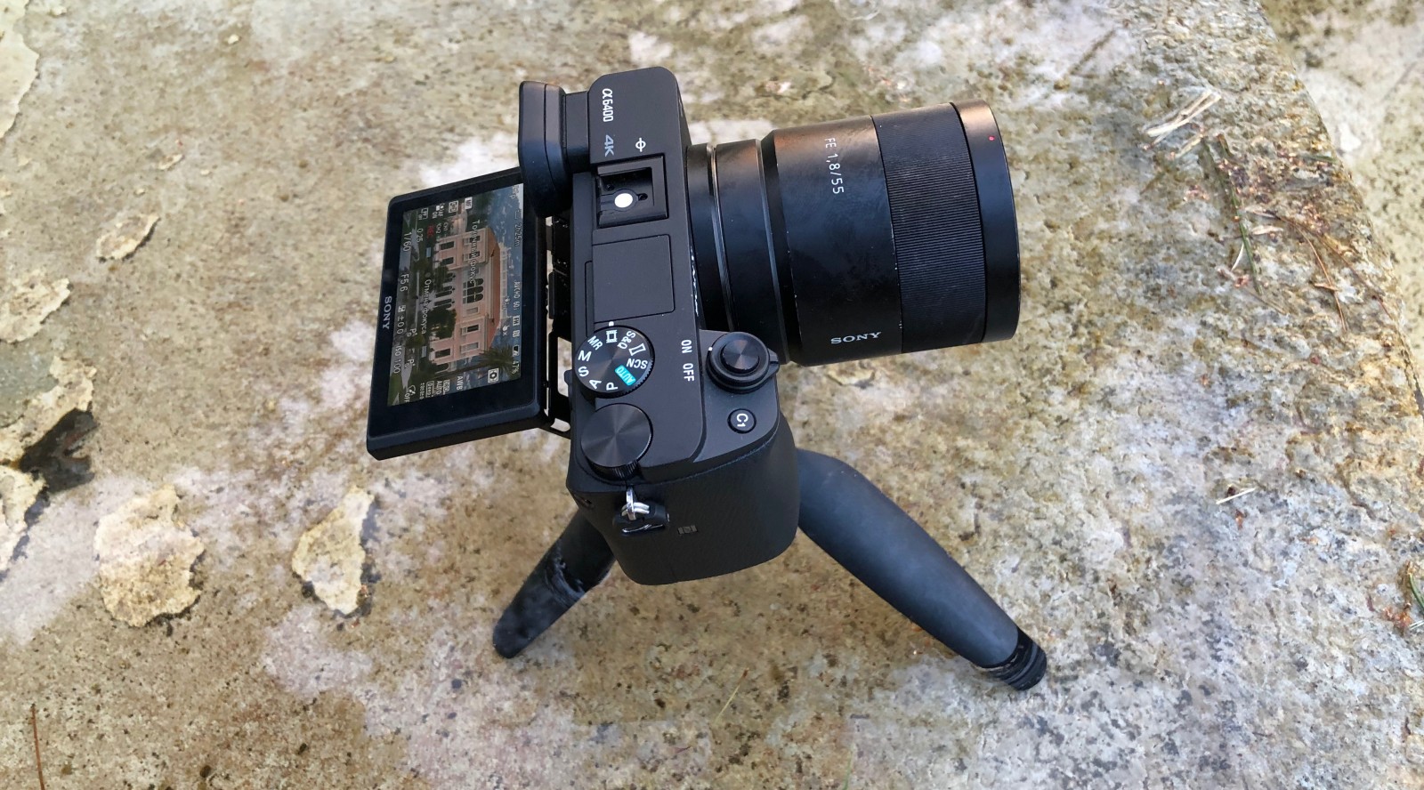 Тест-обзор Sony a6400: обновление универсальной камеры — Российское фото