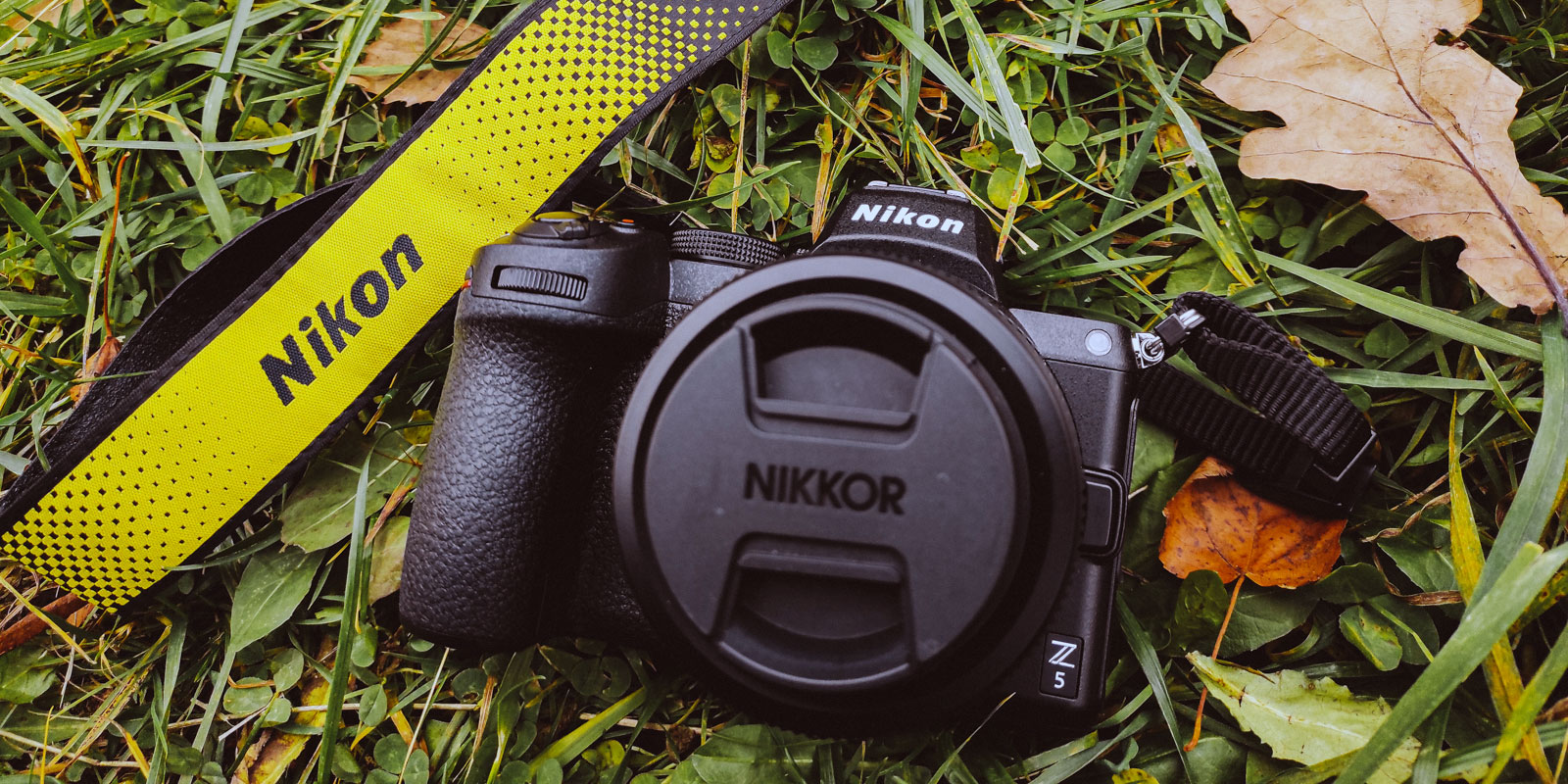 Тест-обзор Nikon Z5 и немного про объективы Nikkor — Российское фото