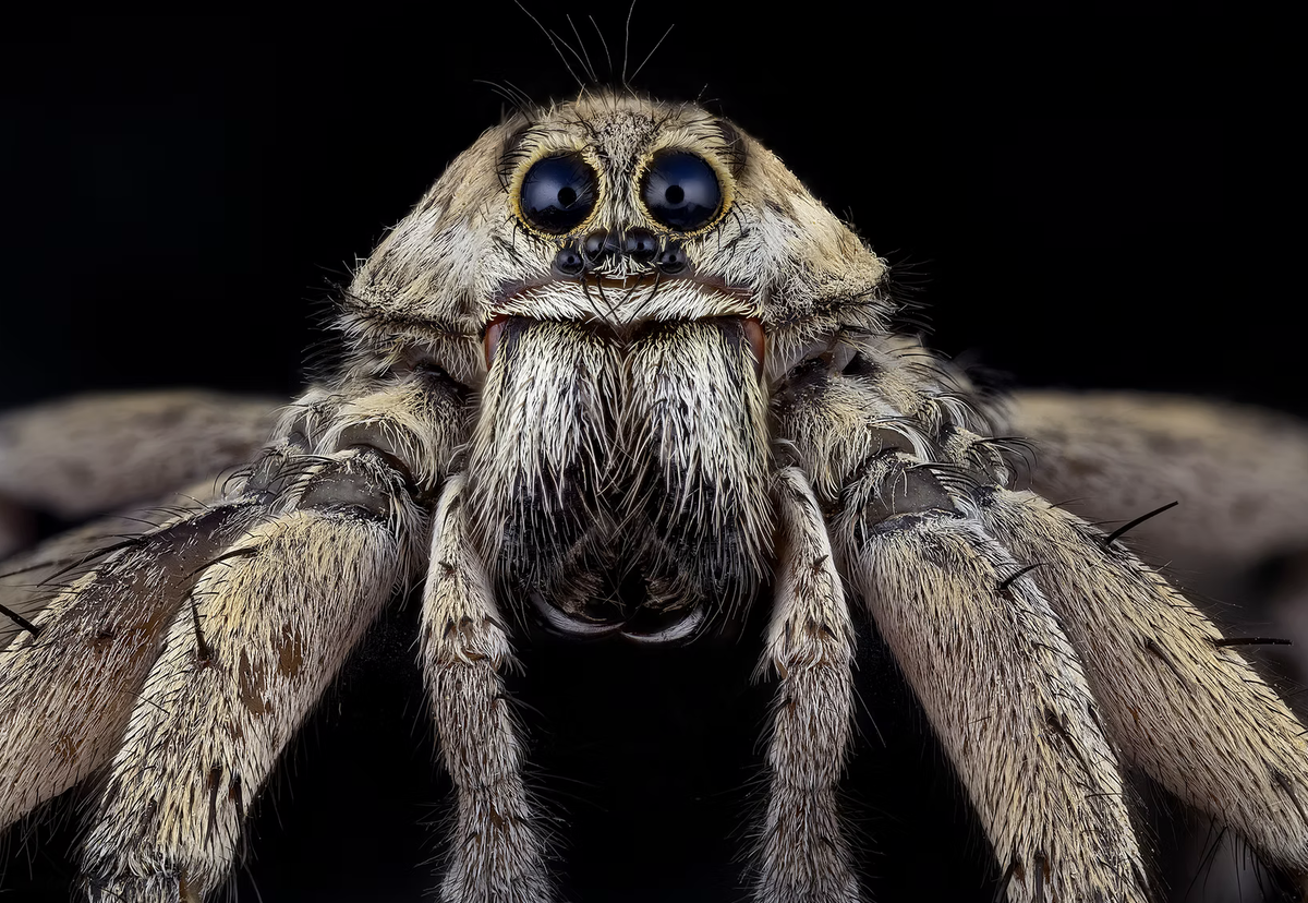 Porno singlim va yigitimga josuslik qildi va qolga tushdi Tiannaning ayol orgazmi haqidagi porno filmlarini onlayn tomosha qiling