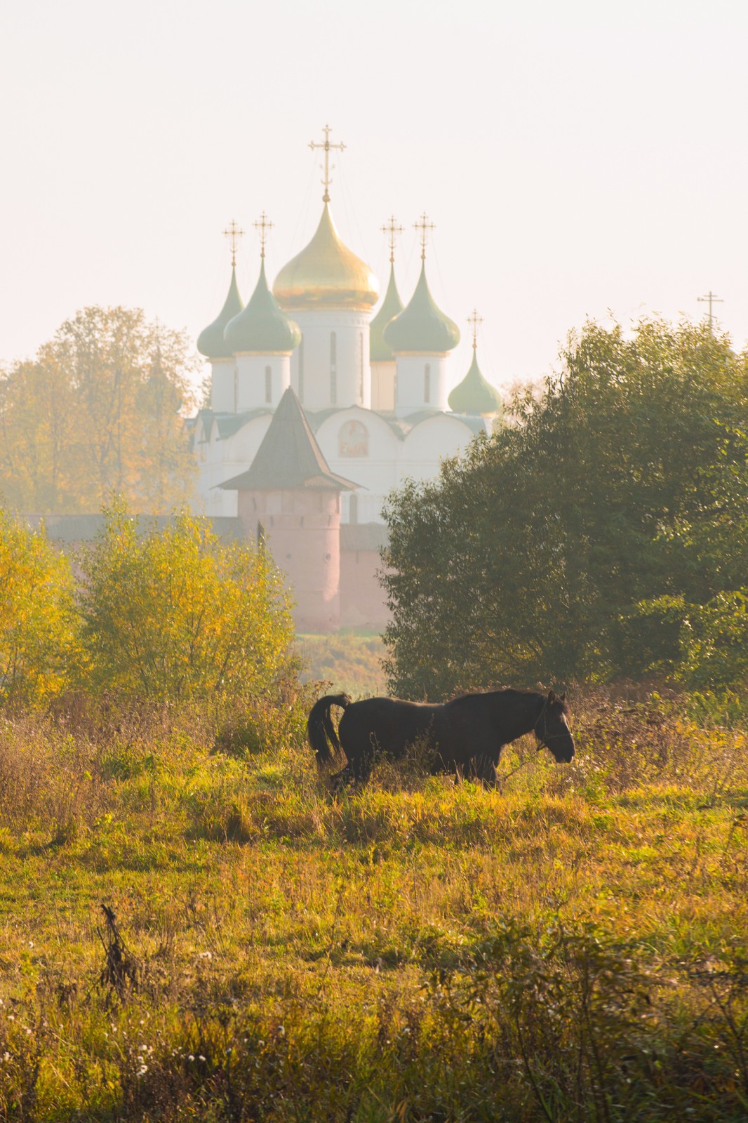Фото: Анжела Гринченкова