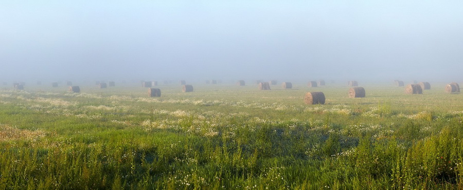 Сергей Сутковой. В туманах Ярославских полей. Ярославская область, Август 2014.